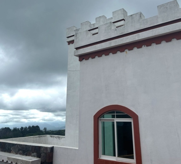 Detalle Arquitectónico 3